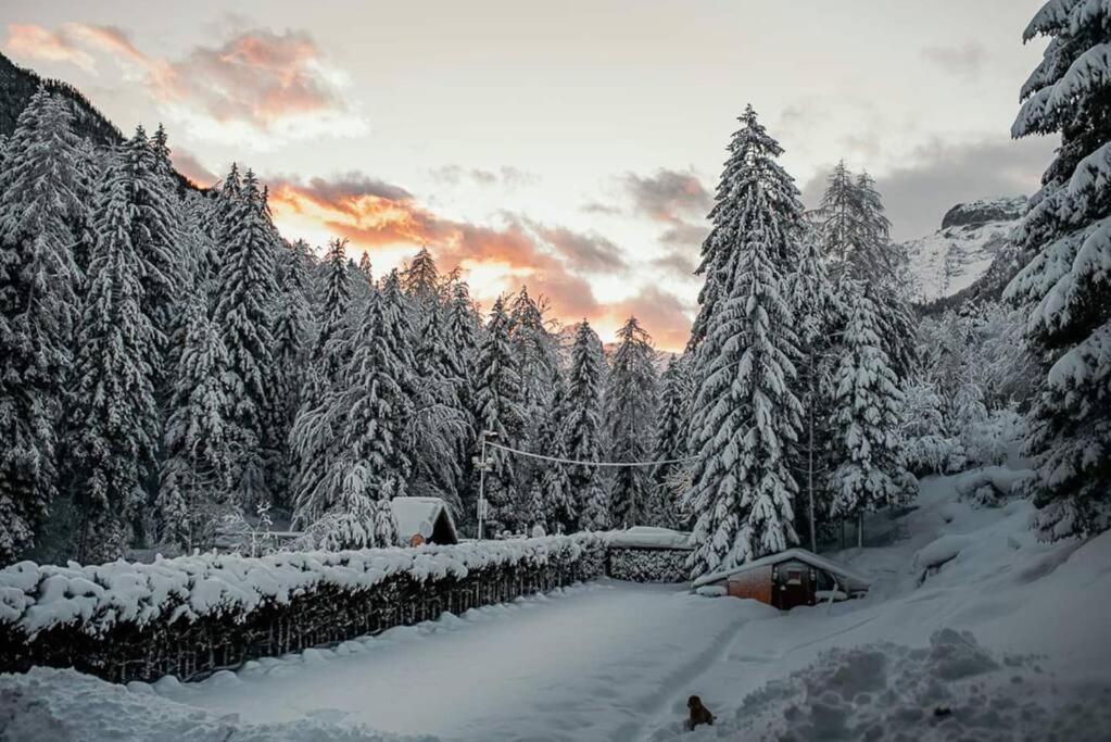 Idyllic Triglav Forest Retreat - Alps, Trails, Lakes, Falls Mojstrana Exteriér fotografie